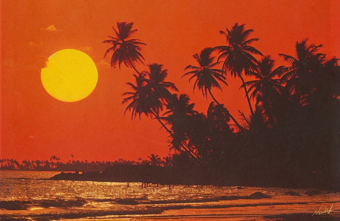 sunset